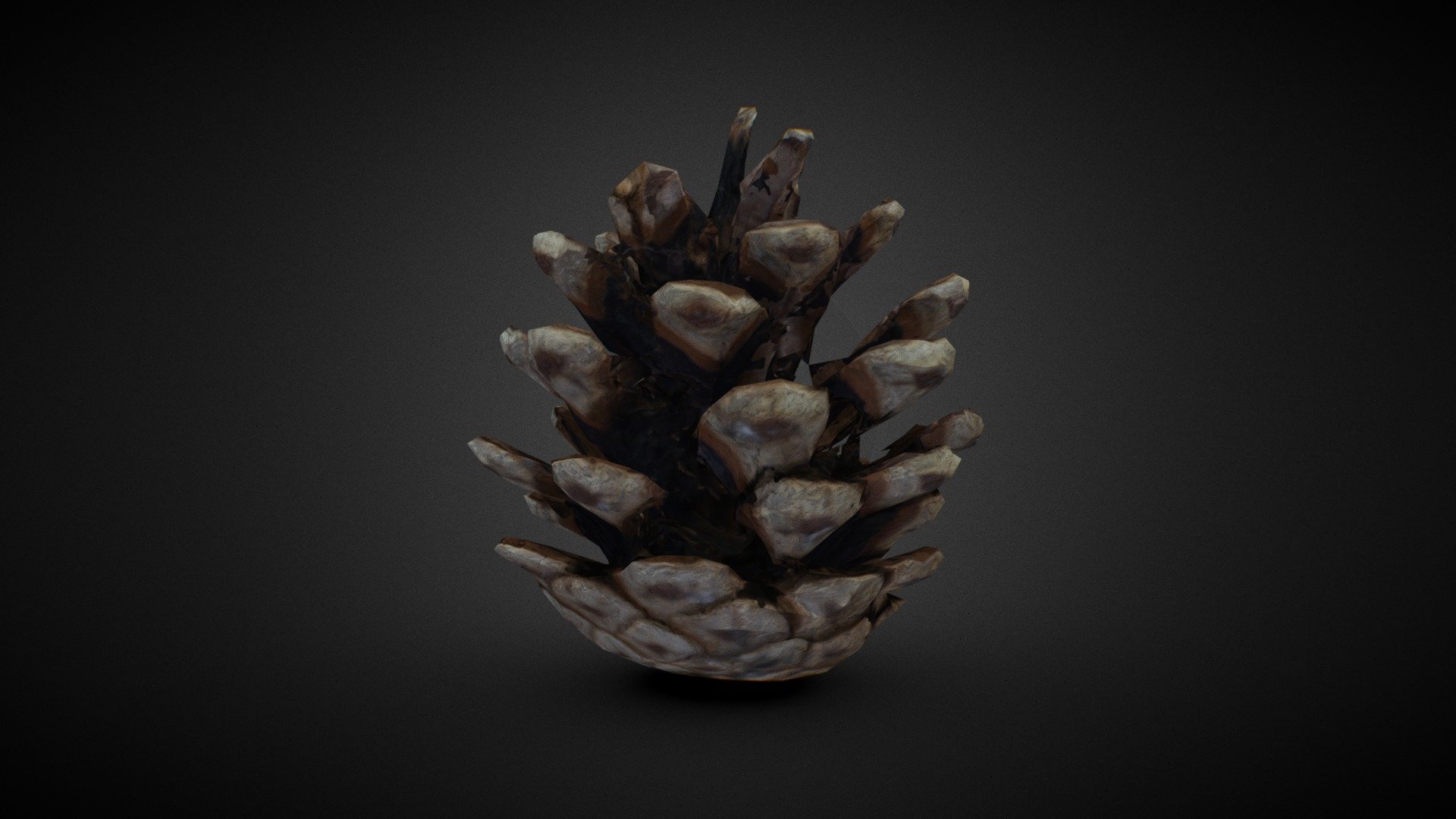Pinecone — Sketchfab embed 3D viewer