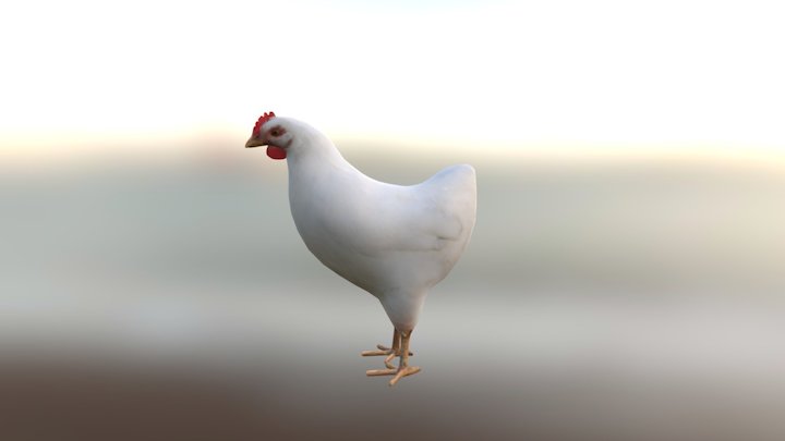 Chicken model 3D Model