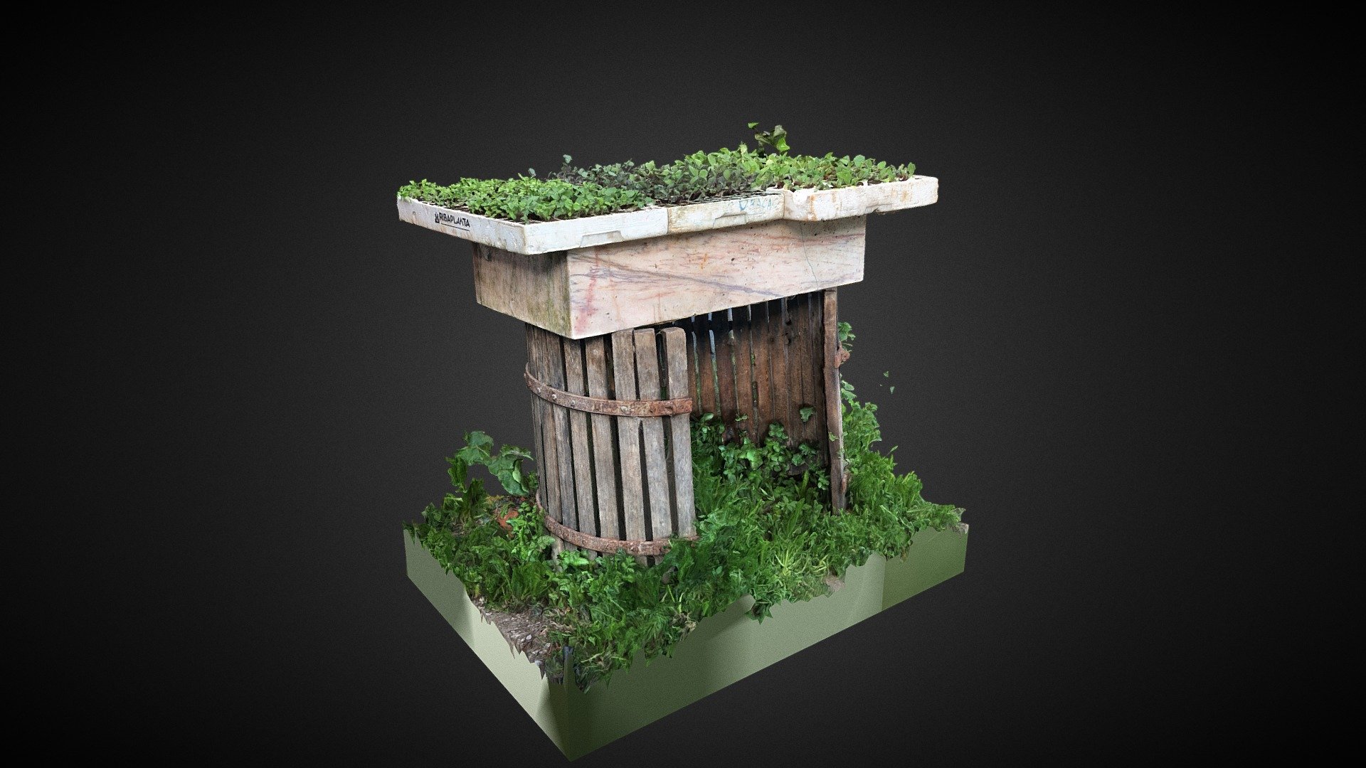 Seedlings on wooden stand