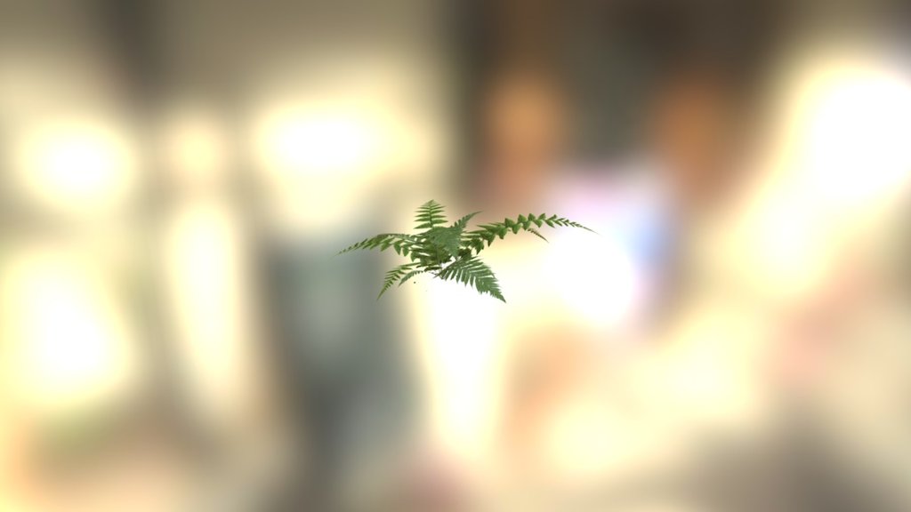 Fern1