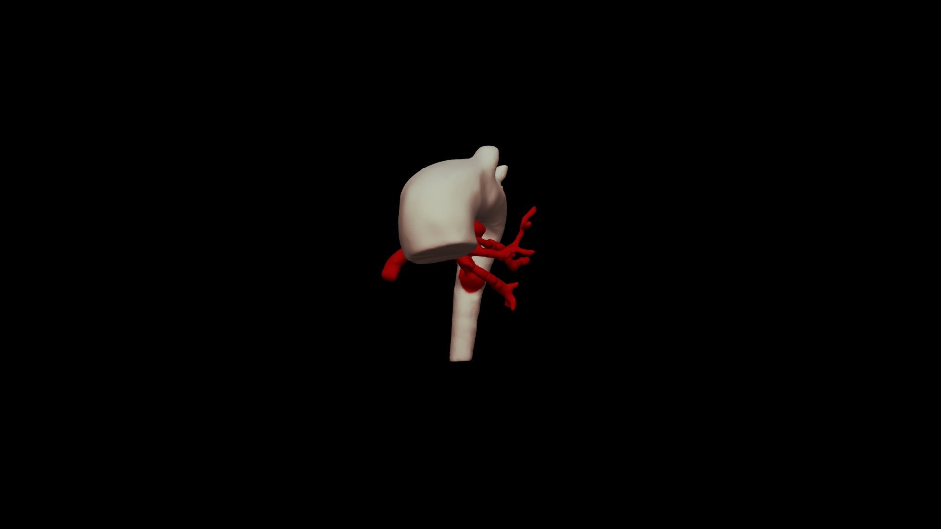 MAPCA_2 - 3D model by Imre J. Barabás, MD, M.Sc. (@Uzzias18) [9f4dea2 ...
