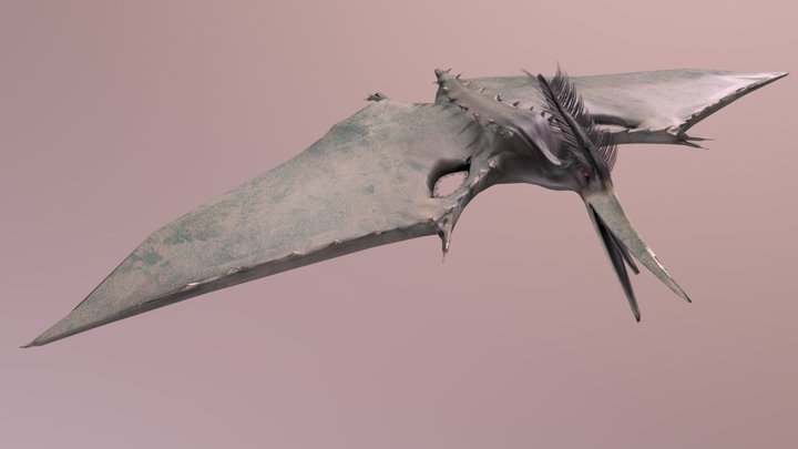 pterodáctilo 3D Model