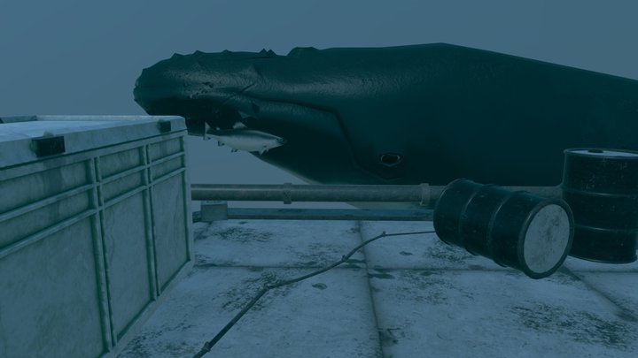 Underwater Scene 3D Model