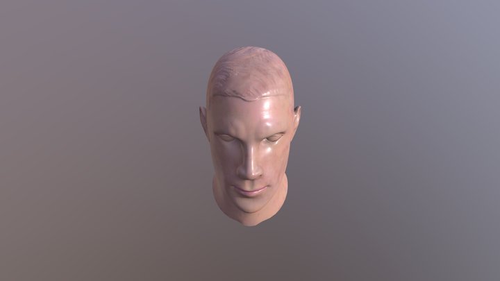 Giroux_Harley_HeadSculpt 3D Model