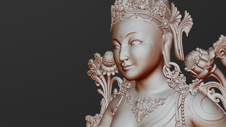 Tara 3D Model