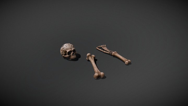 Stylized Skeleton Remains Prop Pack