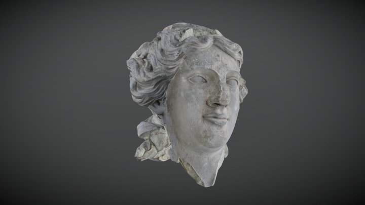Diana's head 3D Model