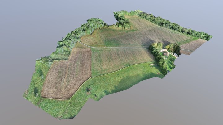 Côte du Petit Moulin 3D Model