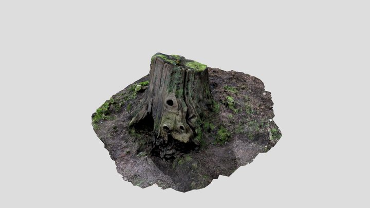 Tree Stump 001 3D Model