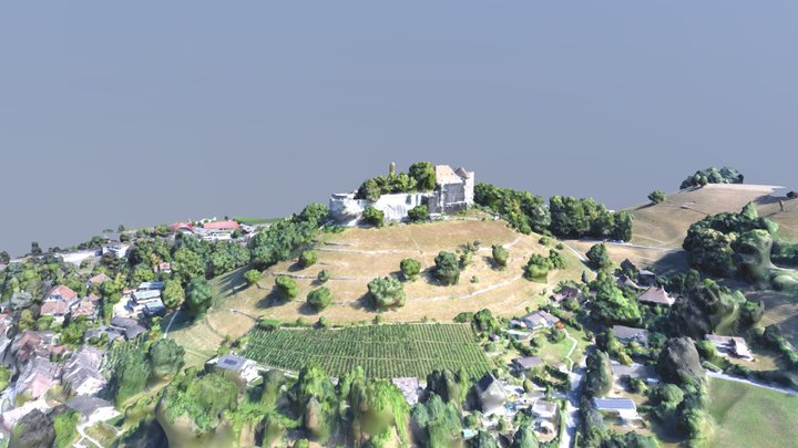 Schloss Lenzburg 3D Model
