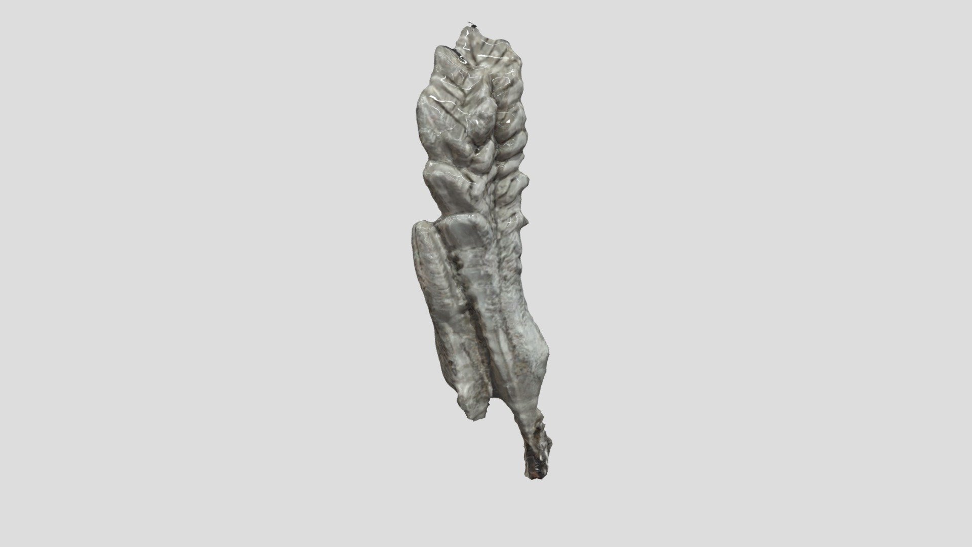 Magnesium
