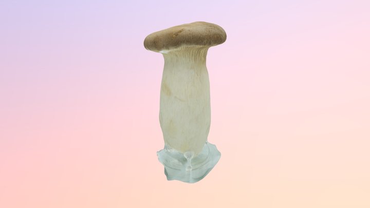 Mushroom Enoki Fbx 3D Model