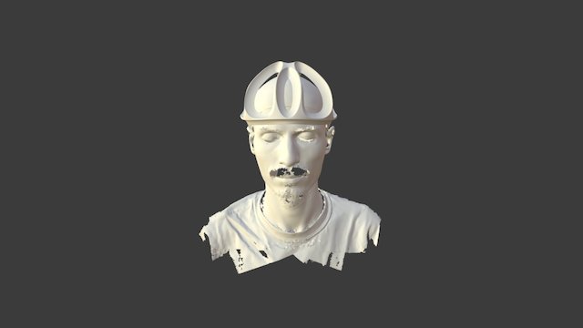 Helmet - Topology Optimisation - 003 3D Model