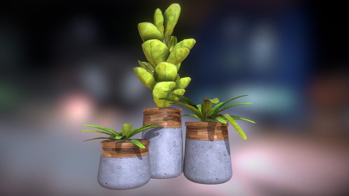 Plant Pot 2 3D Model