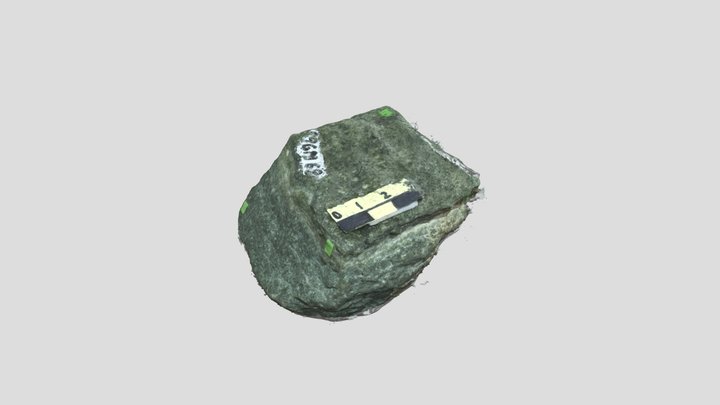 Greenschist 3D Model