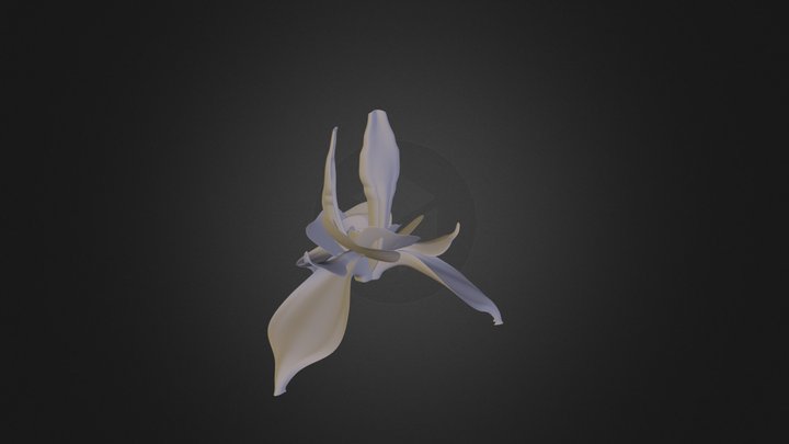 Flower Art Thing 3D Model