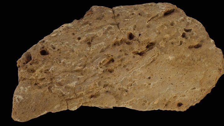Limestone, Seiser Alm 3D Model