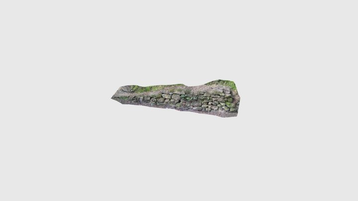 Small wall in a wood 3D Model
