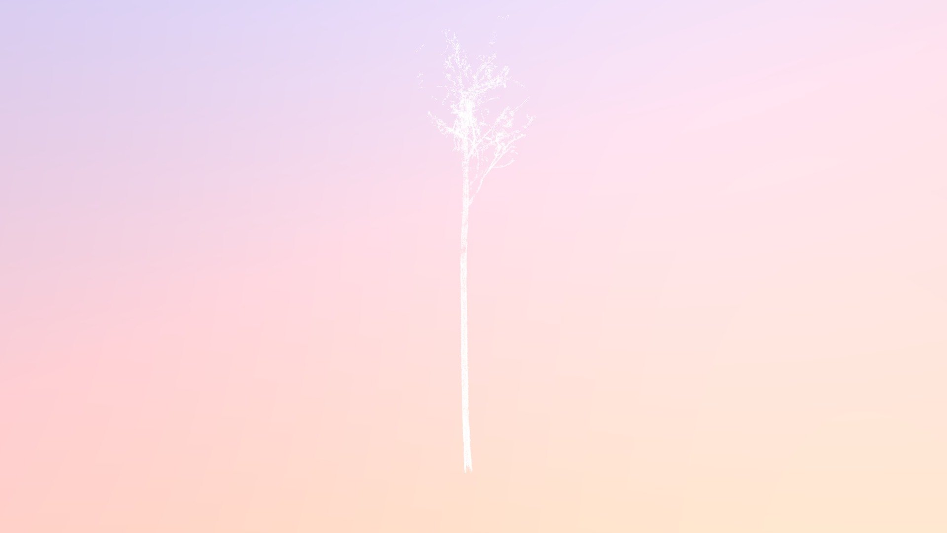 AEP02-tree_126.wood.ply