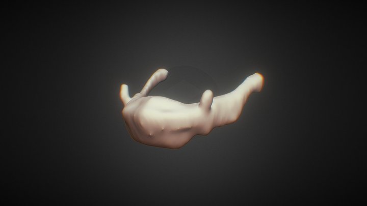 HUMAN HYOID – Modello 3D gratuito STL