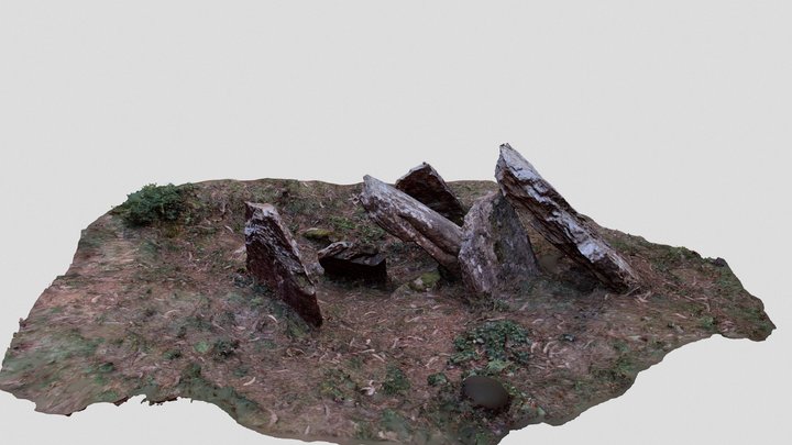 Dolmen Pedra Vixía 3D Model