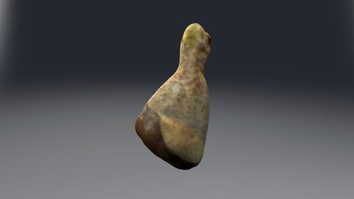 Chicken leg 3D Model