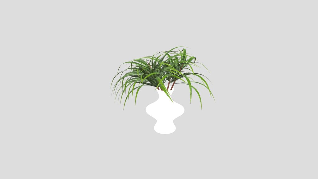 Flower Pot