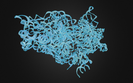 Protein Structure 3D Model