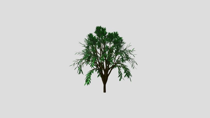 tree 3D Model