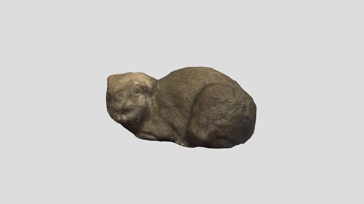 3D Model 3D Model