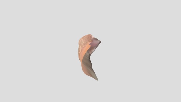 Lele 3D Model
