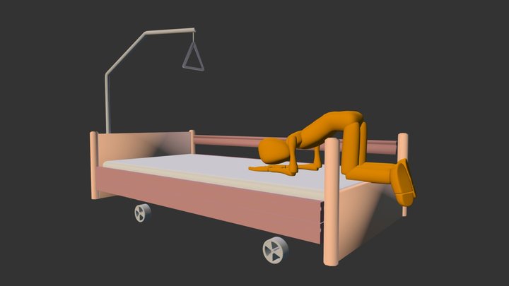 De knie/borst-houding & De knie/elleboog-houding 3D Model