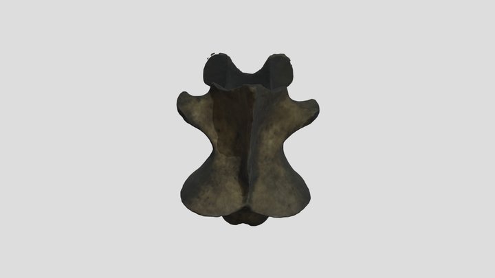 Vertegra 2 3D Model