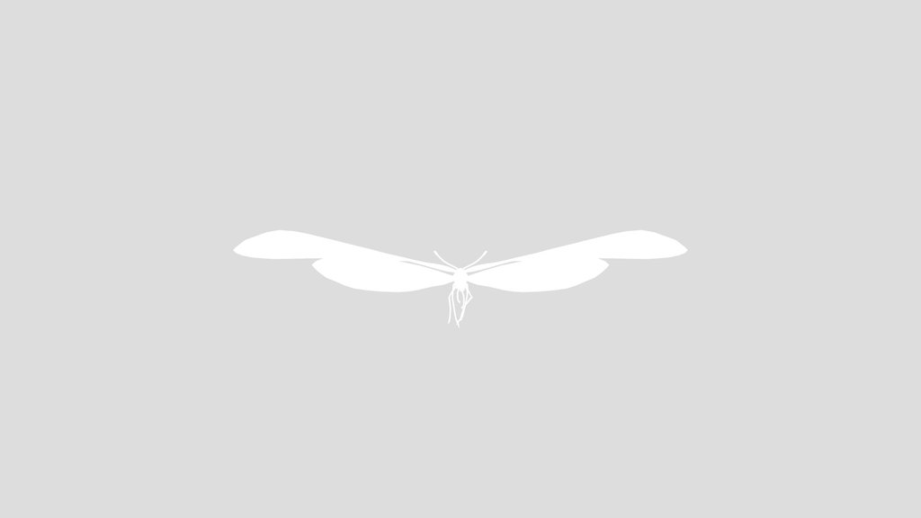 Cabbage White Butterfly