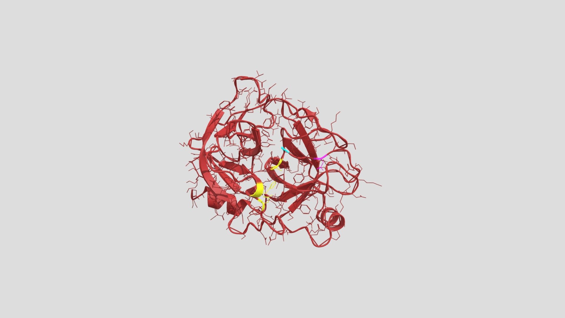 Trypsin structure.