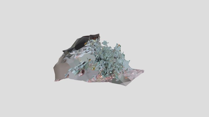Photinia Bush – Kostenloses 3D-Modell STL