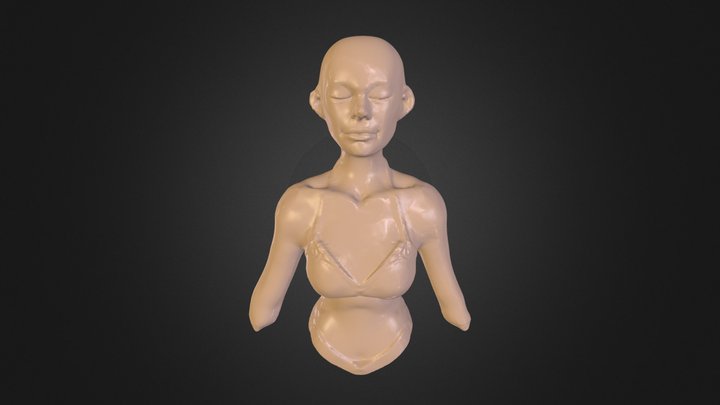 My model 3D Model