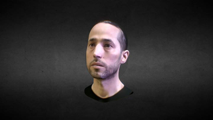 Dalmata_test 3D Model