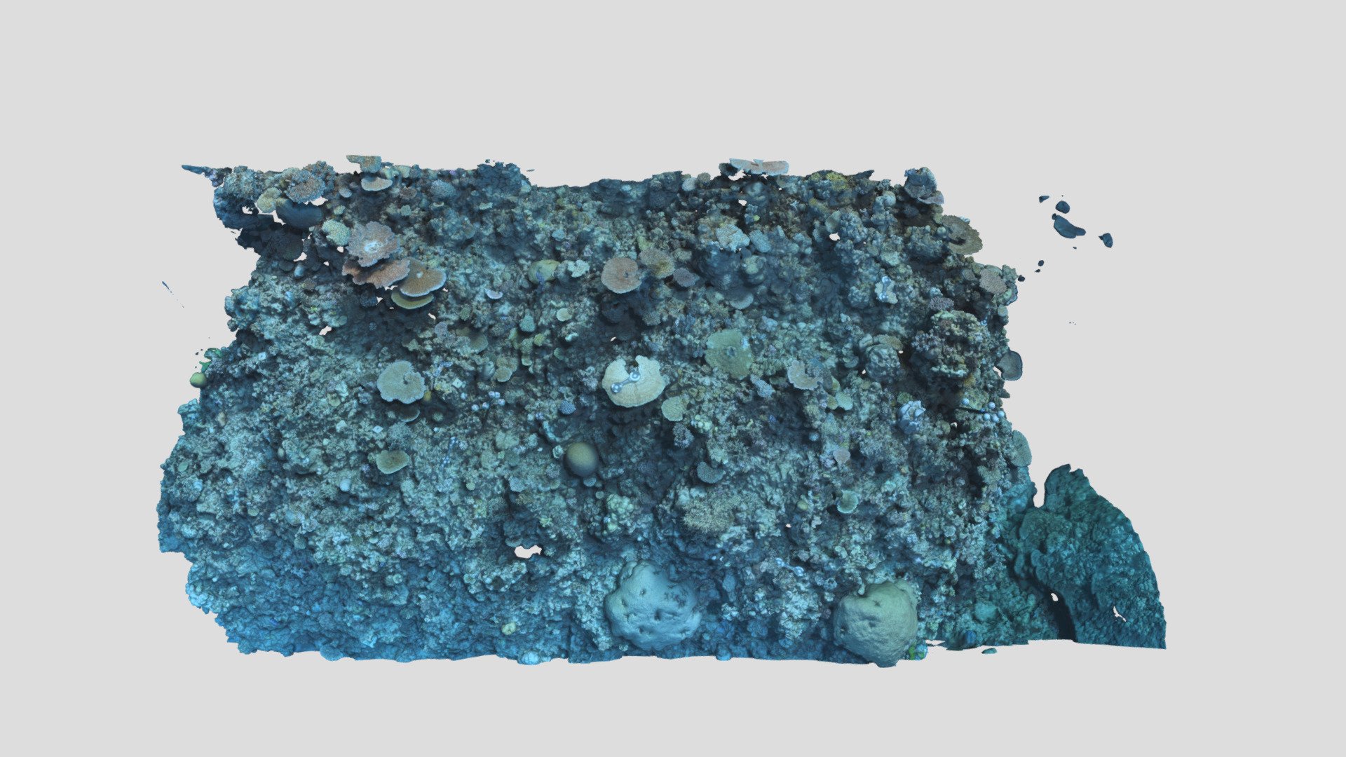 Davies_BA2S_P1_202201 - 3D model by EcoRRAP (@AIMSEcoRRAP) [9f87177 ...