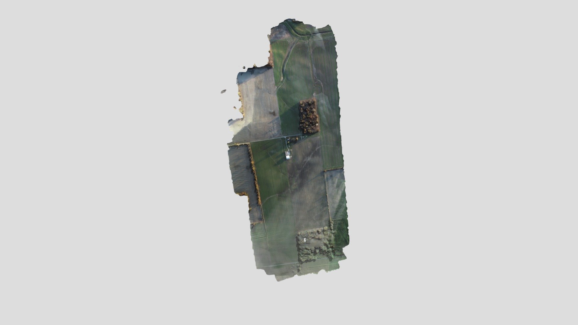 Andersontile2020
