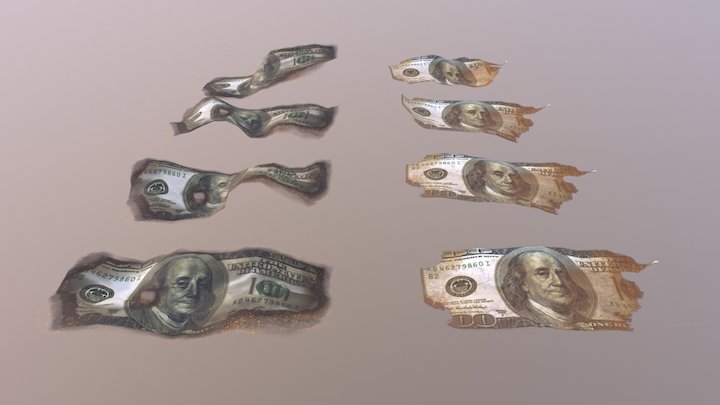 Destroyed Money 3D Model