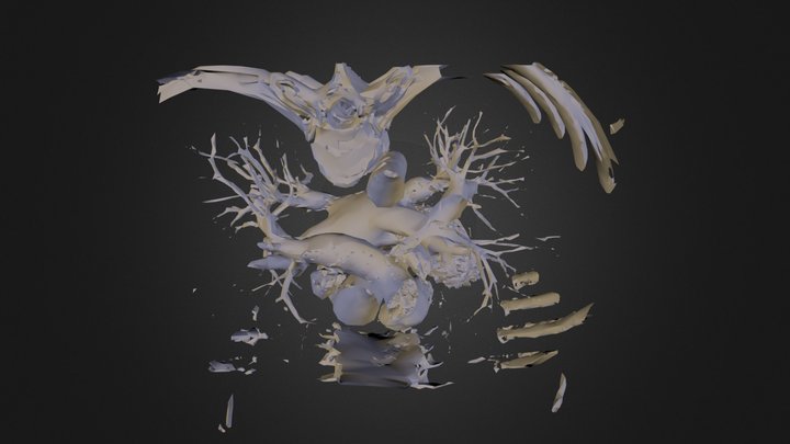 Heart Scan LQ 3D Model