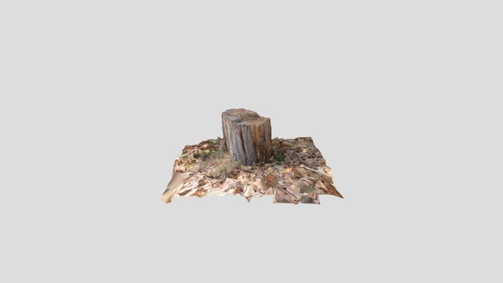 Log