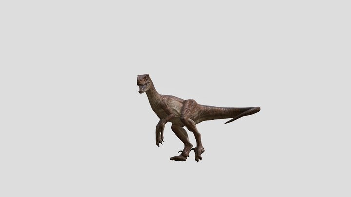 VELOCIRAPTOR 3D Model
