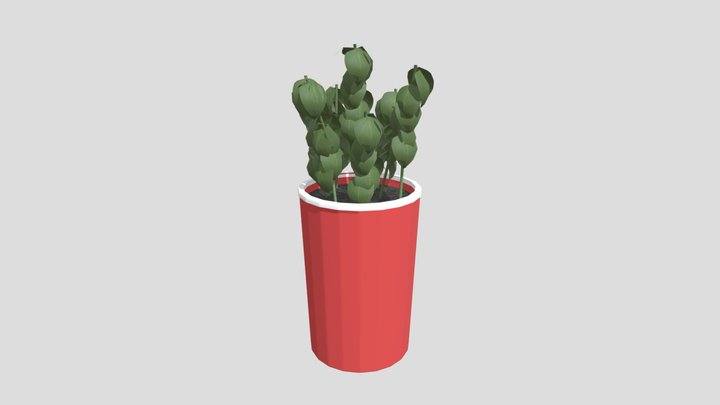 basil2 3D Model