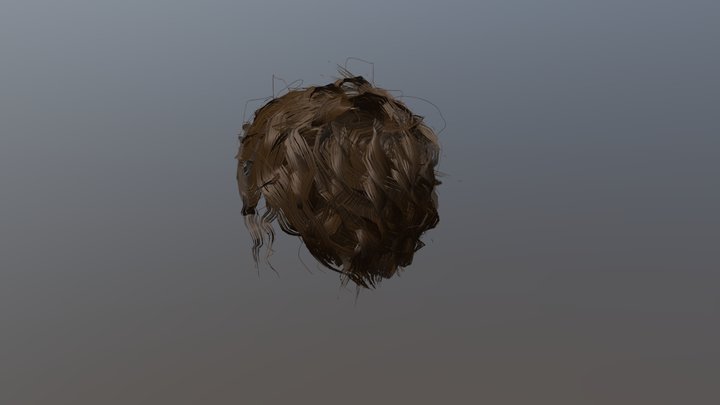 Cheveux 3D Model