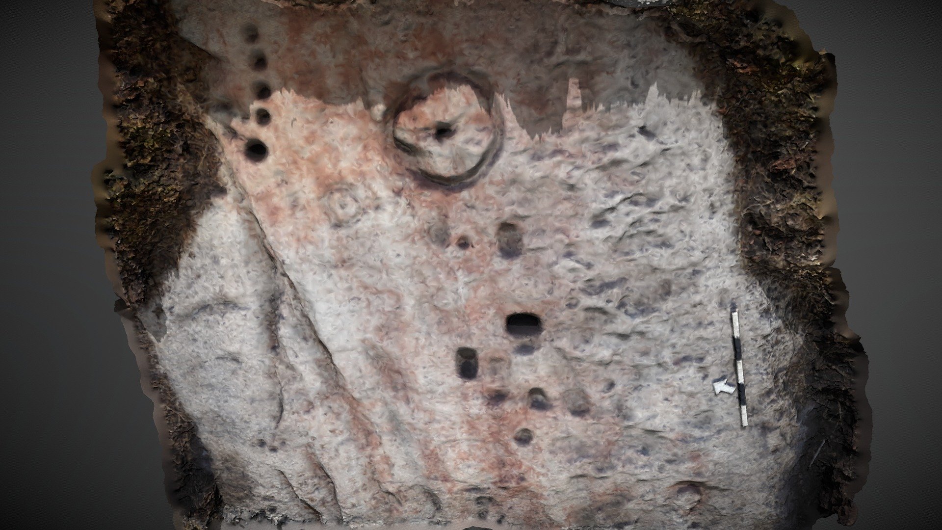 Broughmore Wood 1a  - Quernstones & Rock Art