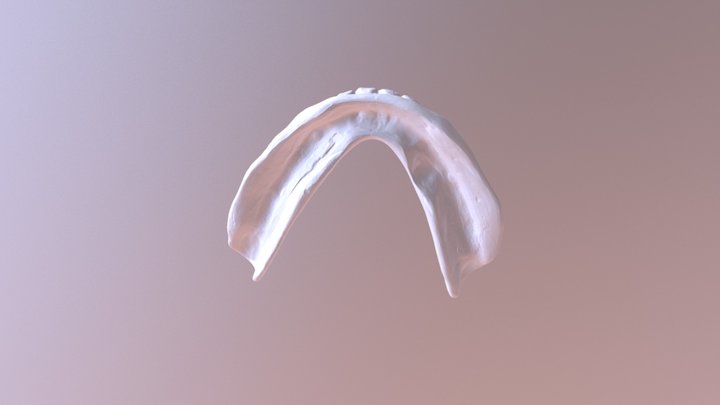 Lower complete denture 3D Model