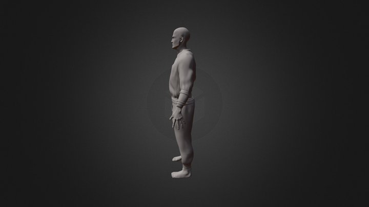 BodyMale (3) 3D Model