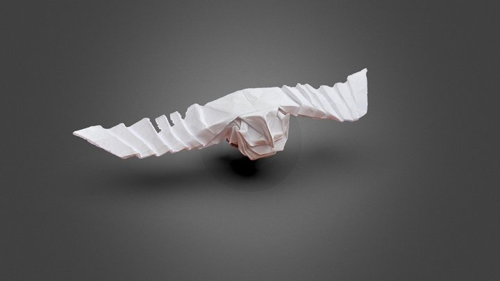 Origami Owl. Night Hunter. Robert Lang 3D Model